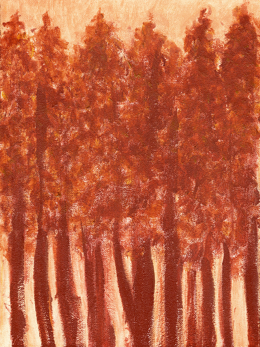 Sienna Woods